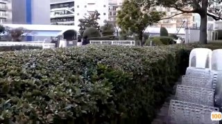 国产精品一91,成人视频高清免费观看